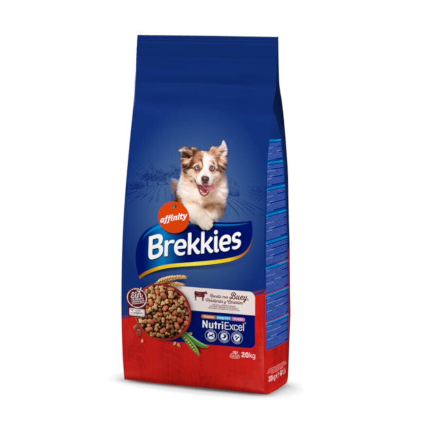 20 kg Affinity Brekkies Buey pienso para perros , , large Imagen numero 1