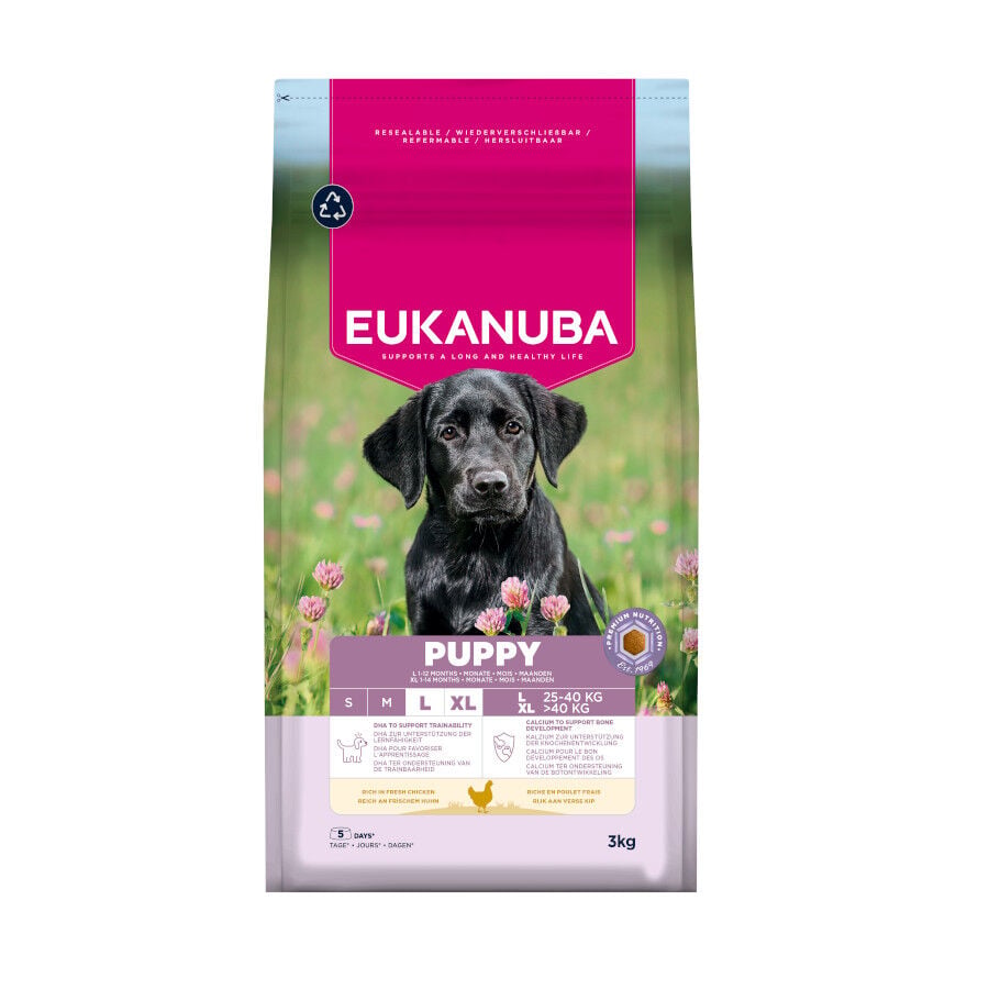 3 kg Eukanuba Puppy Large Pollo pienso para perros, , large indicador imagen numero 1