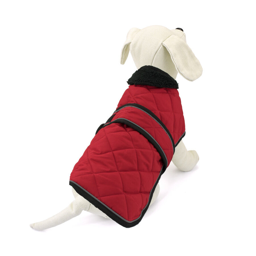 Outech Abrigo Rojo para perros Teckel, , large indicador imagen numero 2