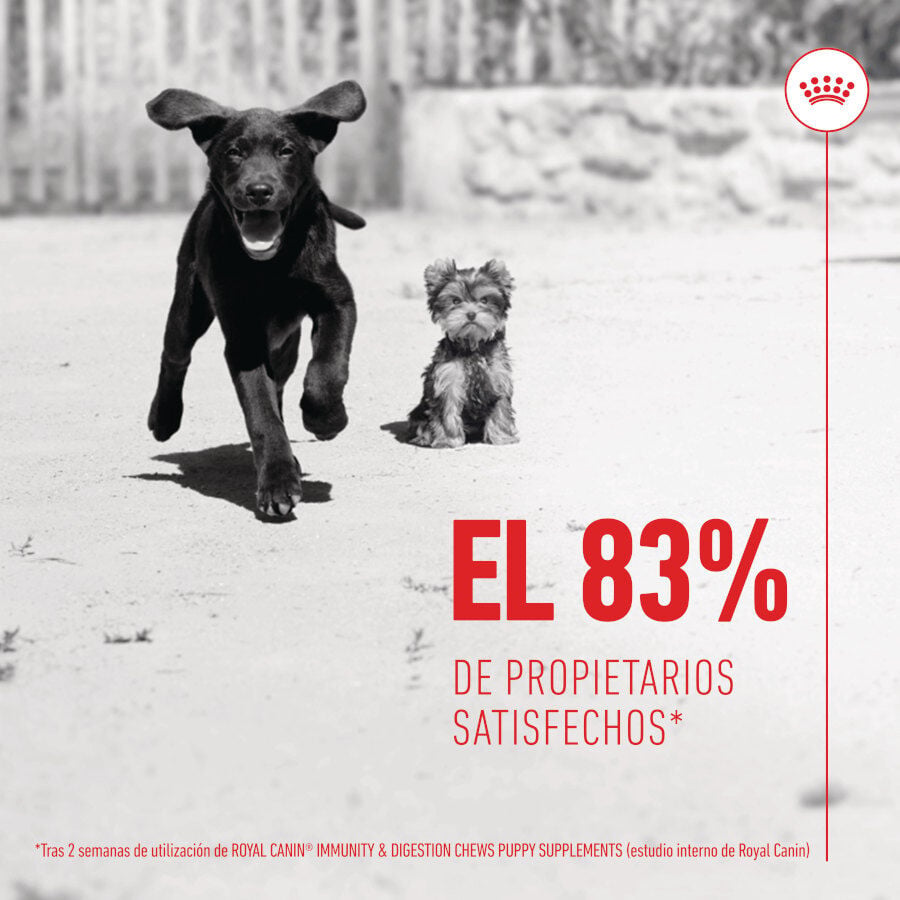 100 g Royal Canin Immunity & Digestion Chews Puppy Suplemento nutricional para perros, , large indicador imagen numero 8