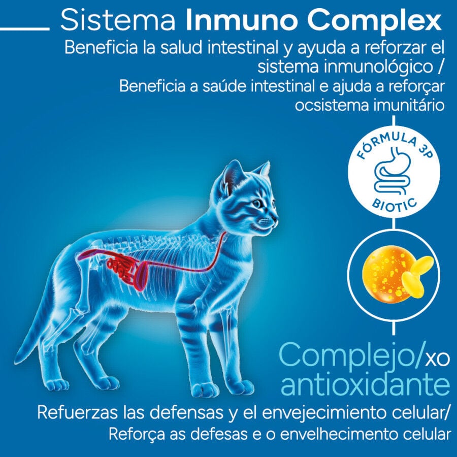 2 kg Criadores Cient&iacute;fico Kitten pollo pienso para gatos&nbsp;, , large indicador imagen numero 3