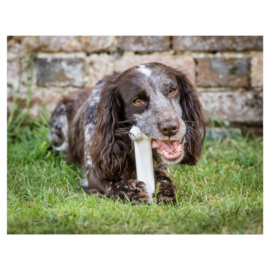 Nylabone Extreme Chew Pollo Hueso Mordedor para perros, , large indicador imagen numero 3