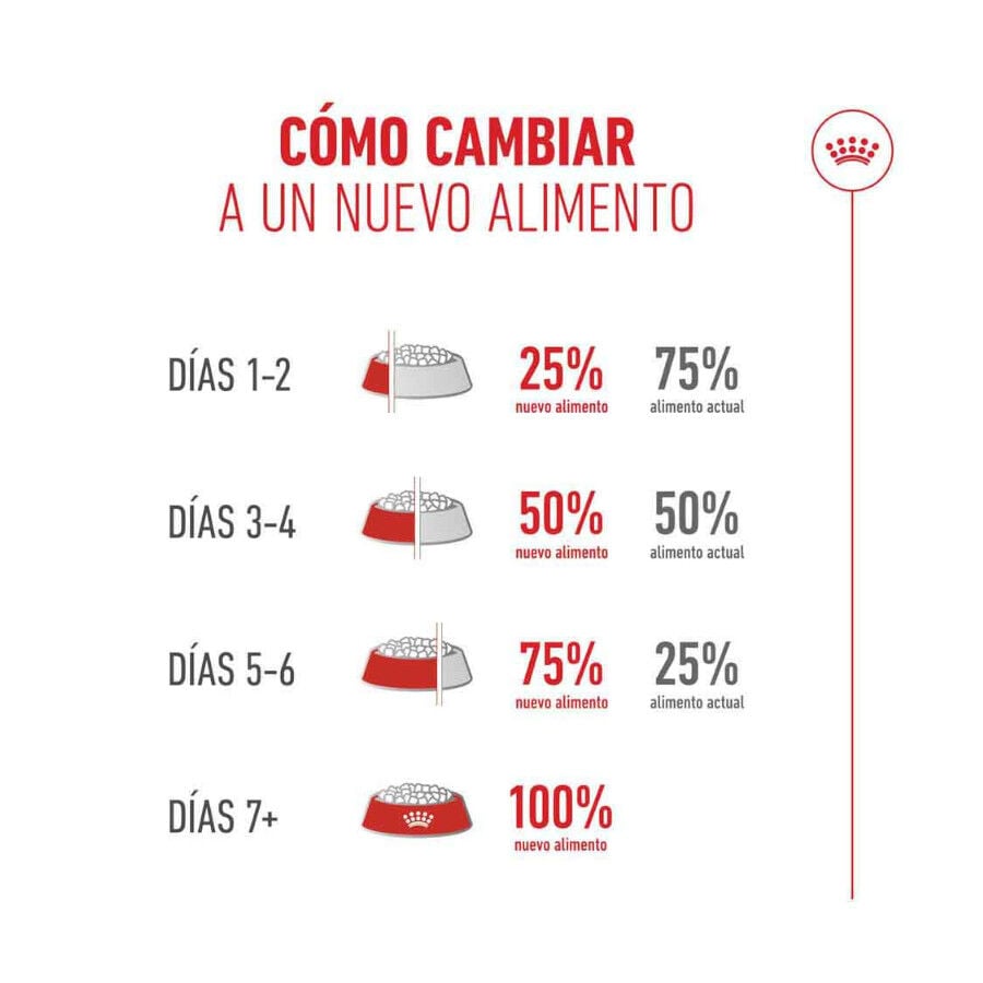 4 kg Royal Canin Ageing 11+ Sterilised pienso para gatos&nbsp;senior, , large Imagen numero 8