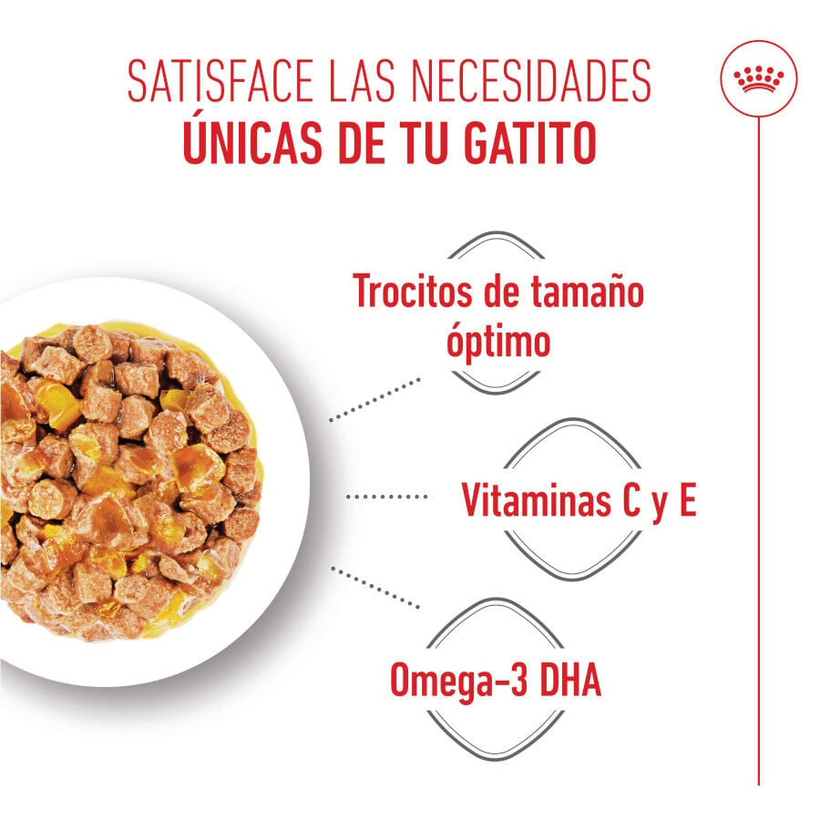 85 g Royal Canin Kitten comida h&uacute;meda en gelatina sobre para gatos&nbsp;, , large Imagen numero 4