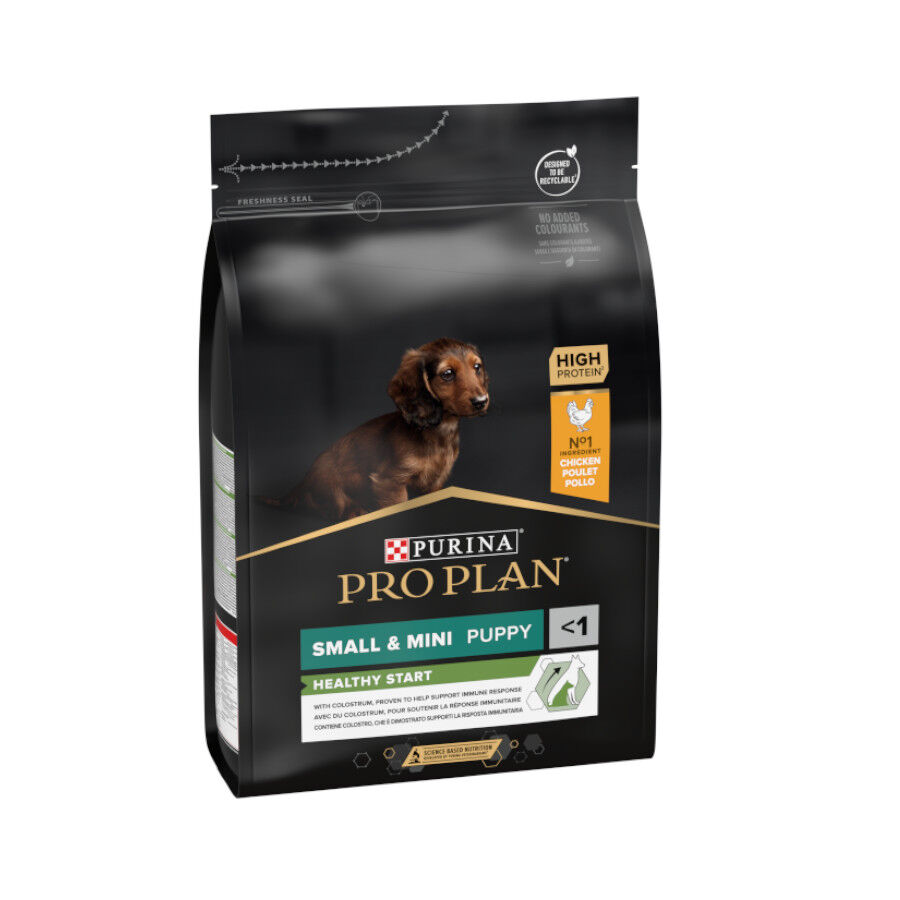Pro Plan Puppy Small y Mini Pollo pienso para perros