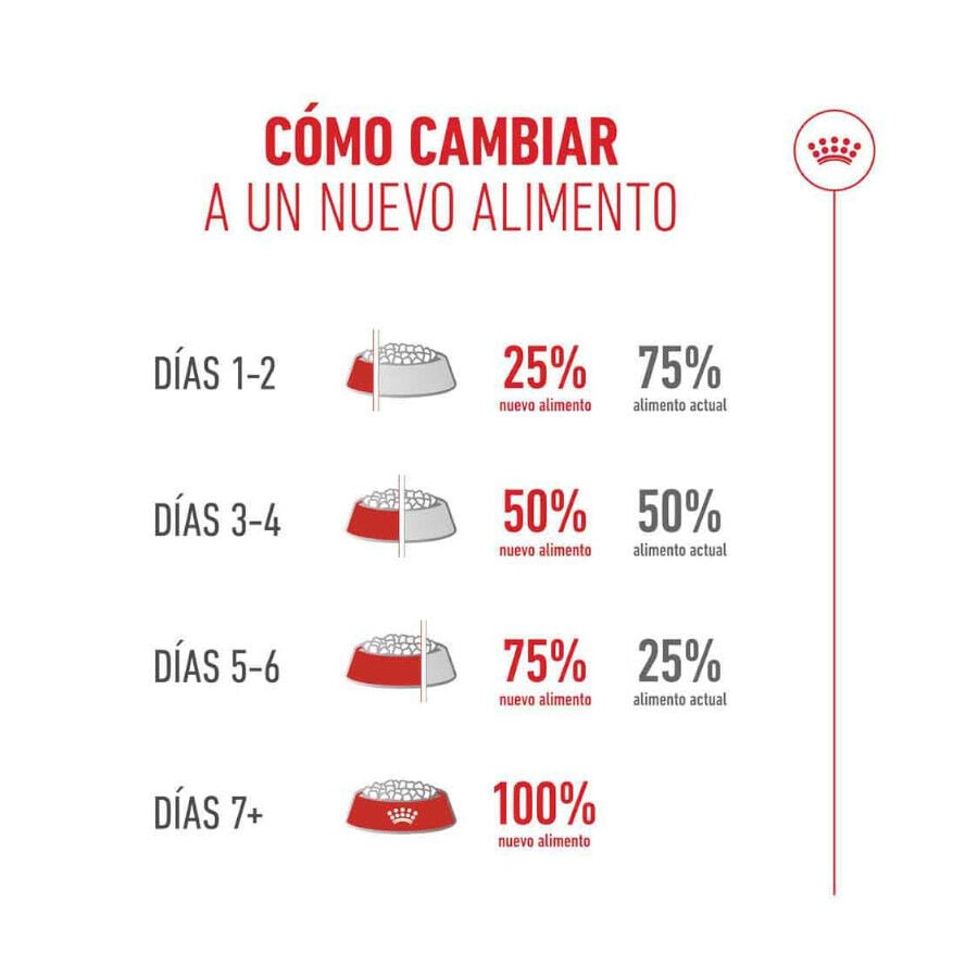 4 kg Royal Canin Ageing 11+ pienso para gatos&nbsp;senior, , large Imagen numero 8