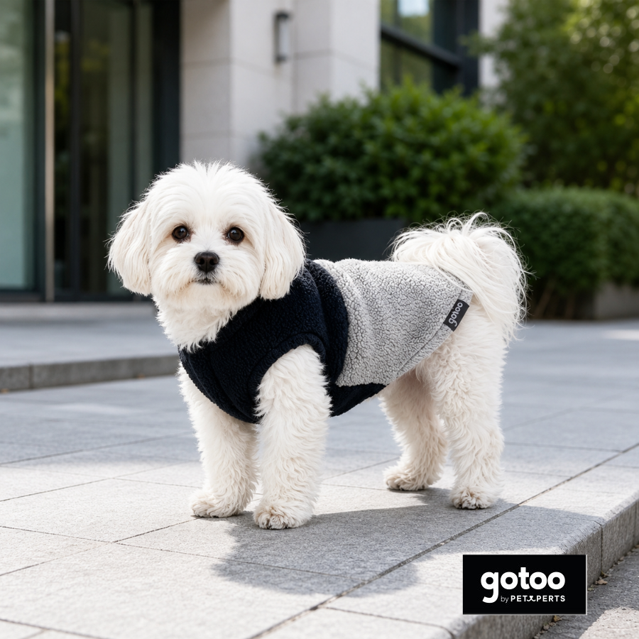 Gotoo Chaqueta Azul y Gris para perros