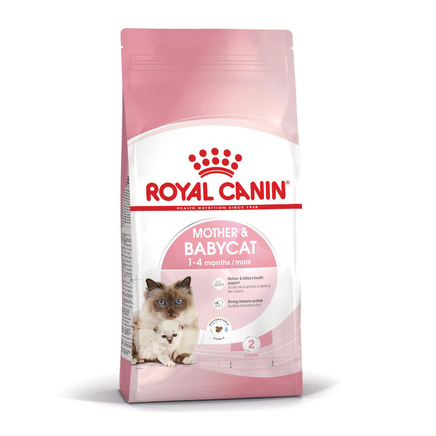 4 kg Royal Canin Mother & Babycat pienso para gatos, , large Imagen numero 1