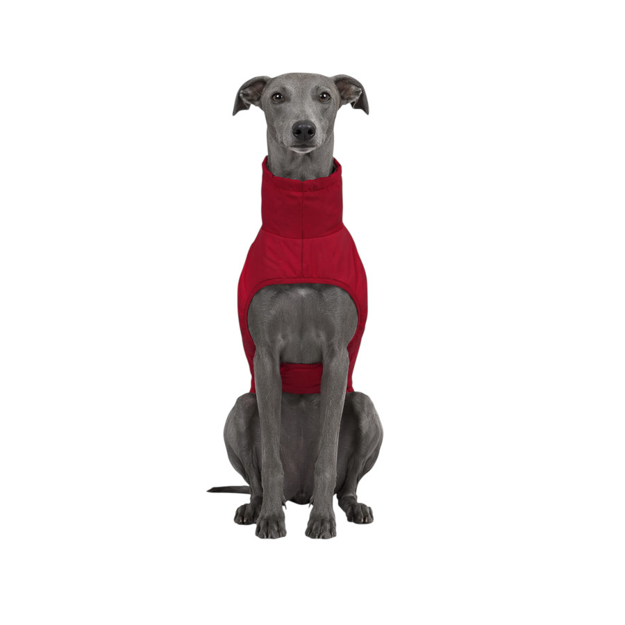 Gotoo Chaqueta Impermeable Rojo para galgos, , large indicador imagen numero 7