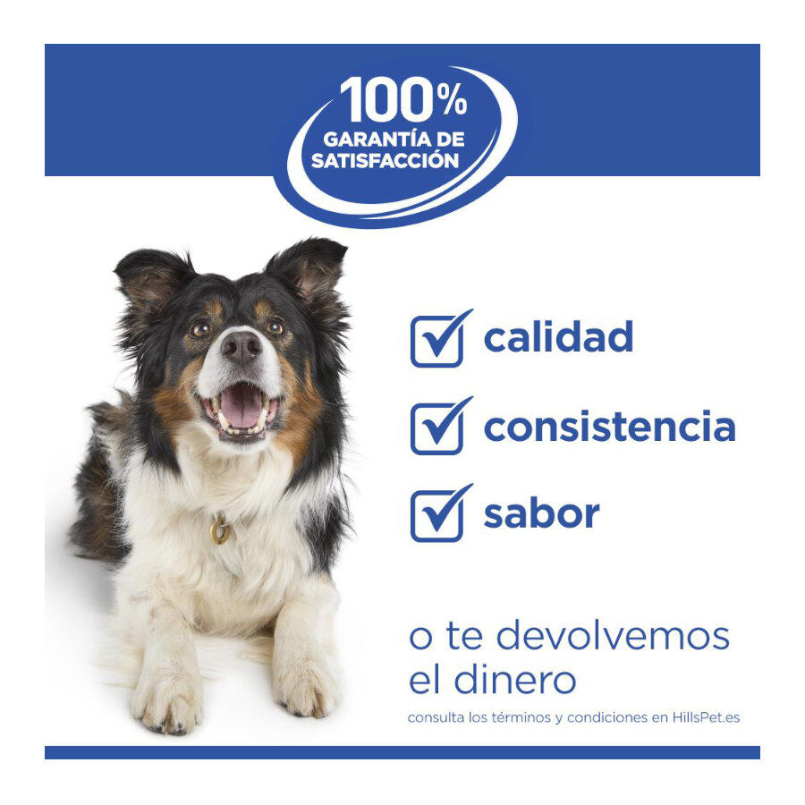 6 kg Hill's Science Plan Hipoalerg&eacute;nico Small y Mini Salm&oacute;n pienso para perros, , large indicador imagen numero 6