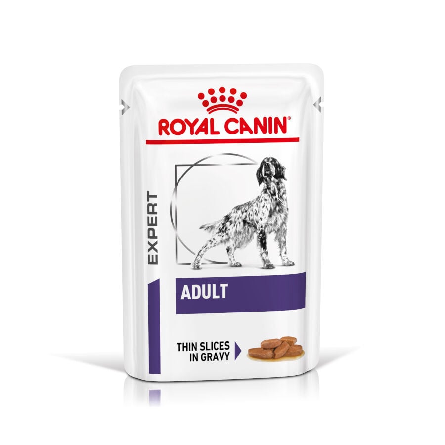 12 sobres x 85 g Royal Canin Expert Adult L&aacute;minas en Salsa sobre para perros, , large indicador imagen numero 1