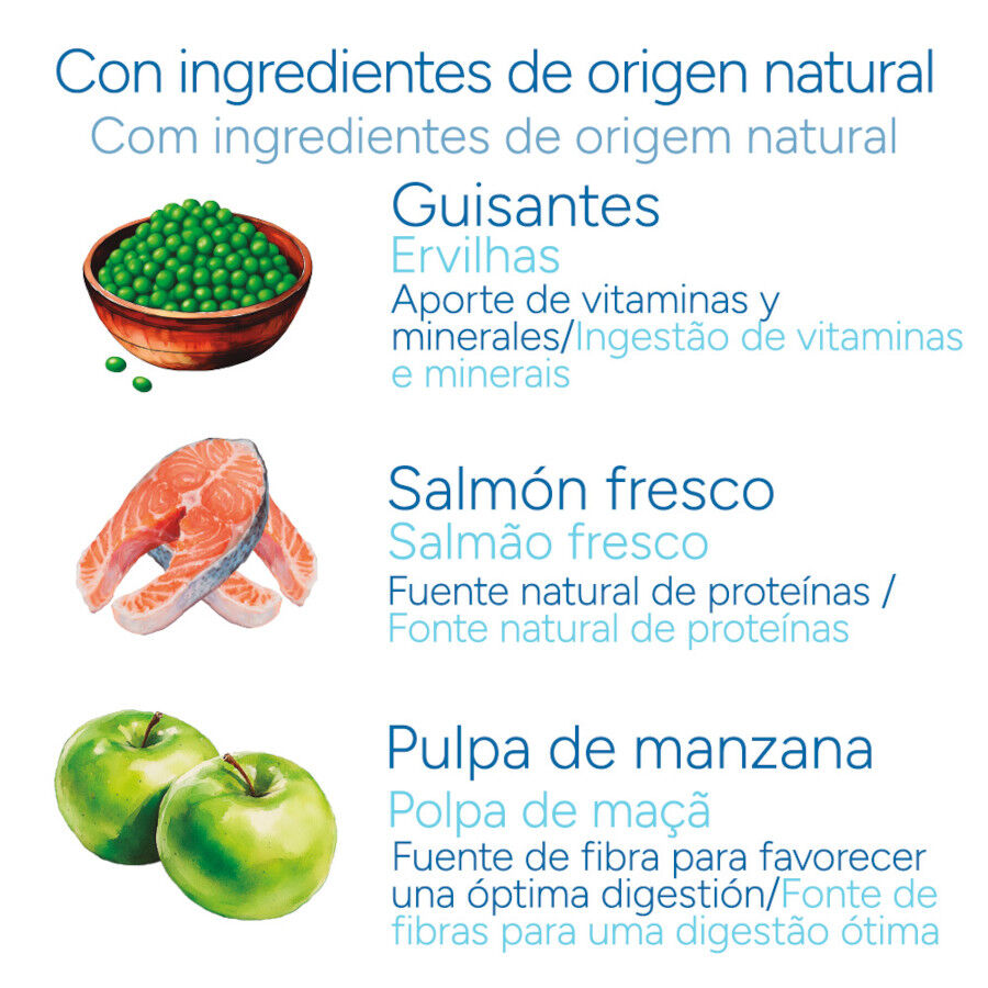 3 kg Criadores Cient&iacute;fico Senior Sensitive Mini Pienso Salm&oacute;n para perros, , large indicador imagen numero 5