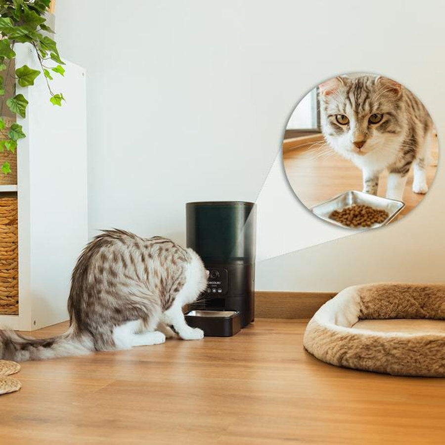 Cecotec Pumba 6000 Purrfect Meal Smart Vision Comedero Autom&aacute;tico para perros y gatos, , large indicador imagen numero 10