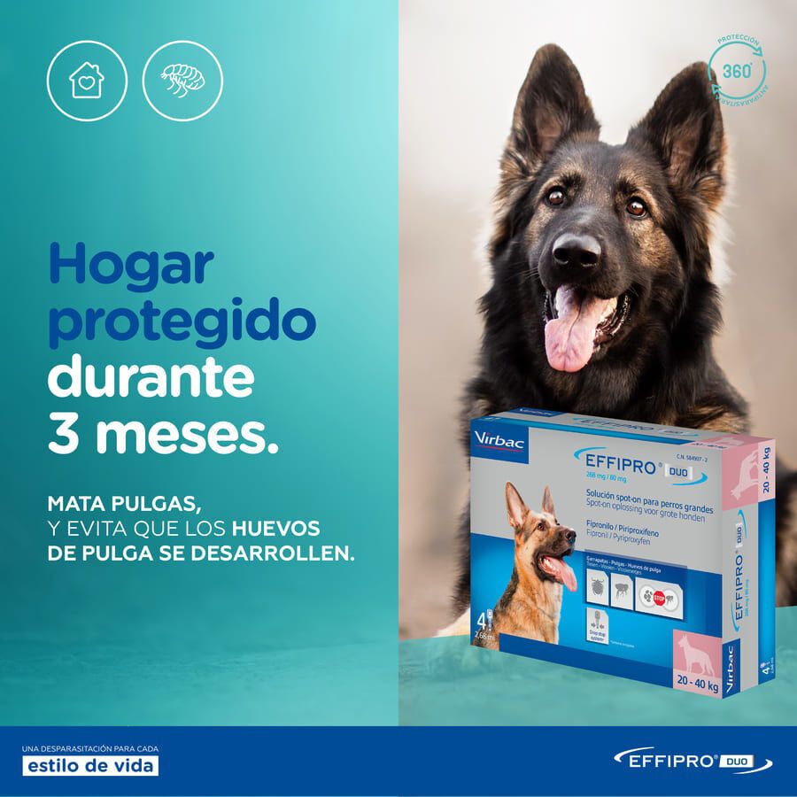 Effipro Duo pipetas antipar&aacute;sitos para perros, , large indicador imagen numero 6