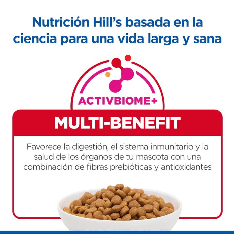 10 kg Hill's Science Plan Adult Cordero pienso para gatos, , large indicador imagen numero 7
