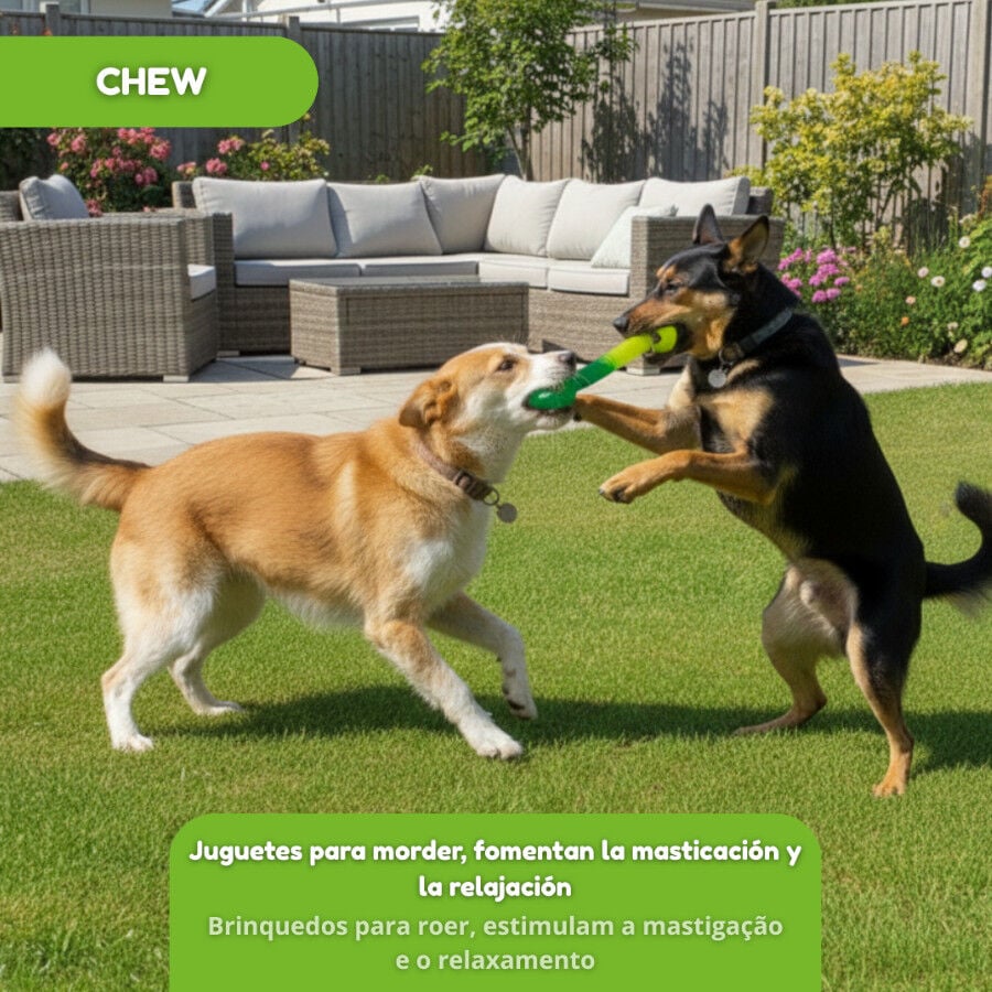 Tootoy! Mordedor Grill and Pull Verde para perros, , large indicador imagen numero 5