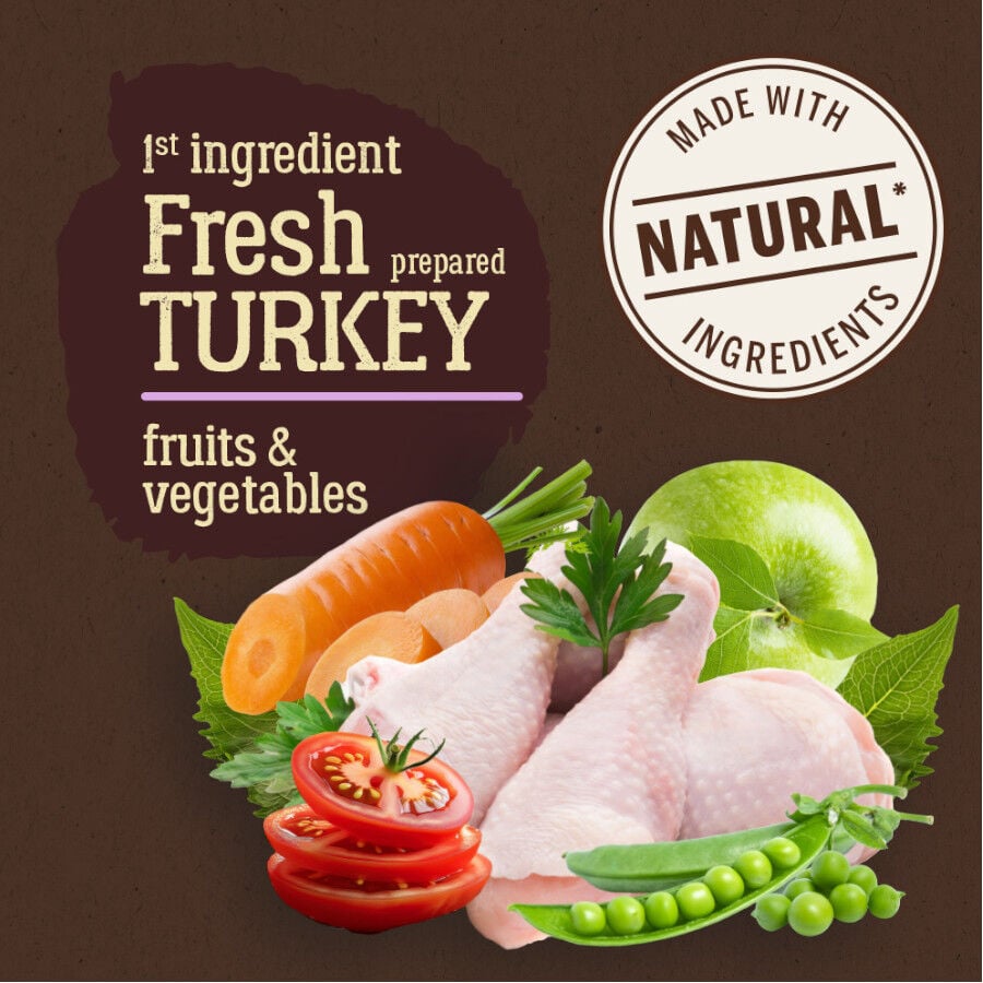 12 kg True Origins Pure Grain Free Adult Pavo pienso para perros, , large Imagen numero 2