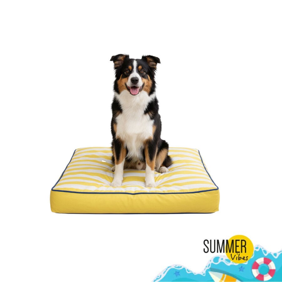 Summer Vibes Cama Coj&iacute;n Amarillo y Blanco para perros, , large Imagen numero 7