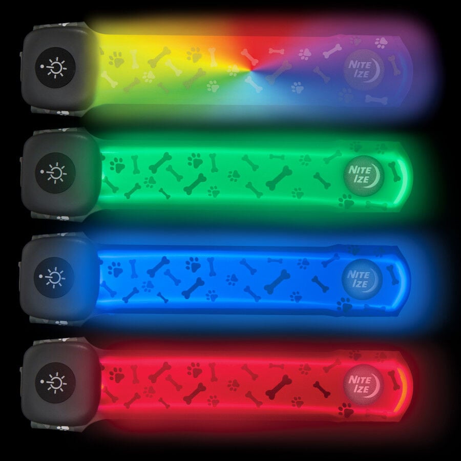 Nite Ize NiteDog Banda LED Recargable para perros, , large indicador imagen numero 3