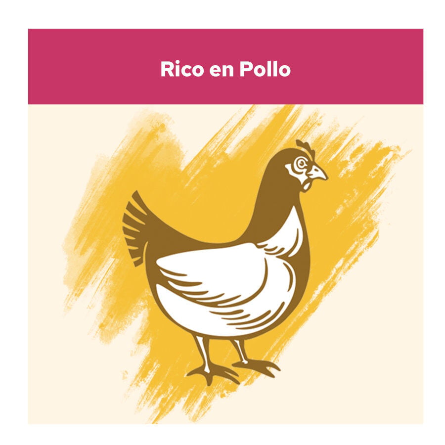 15 kg Cat Chow Urinary Tract Health Pollo Pienso, , large Imagen numero 4