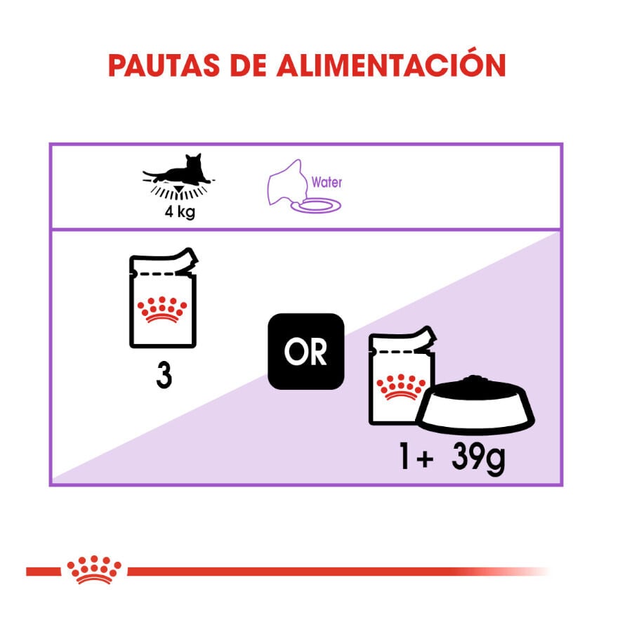 85 g Royal Canin Feline Sterilised Salsa sobres para gato, , large Imagen numero 7