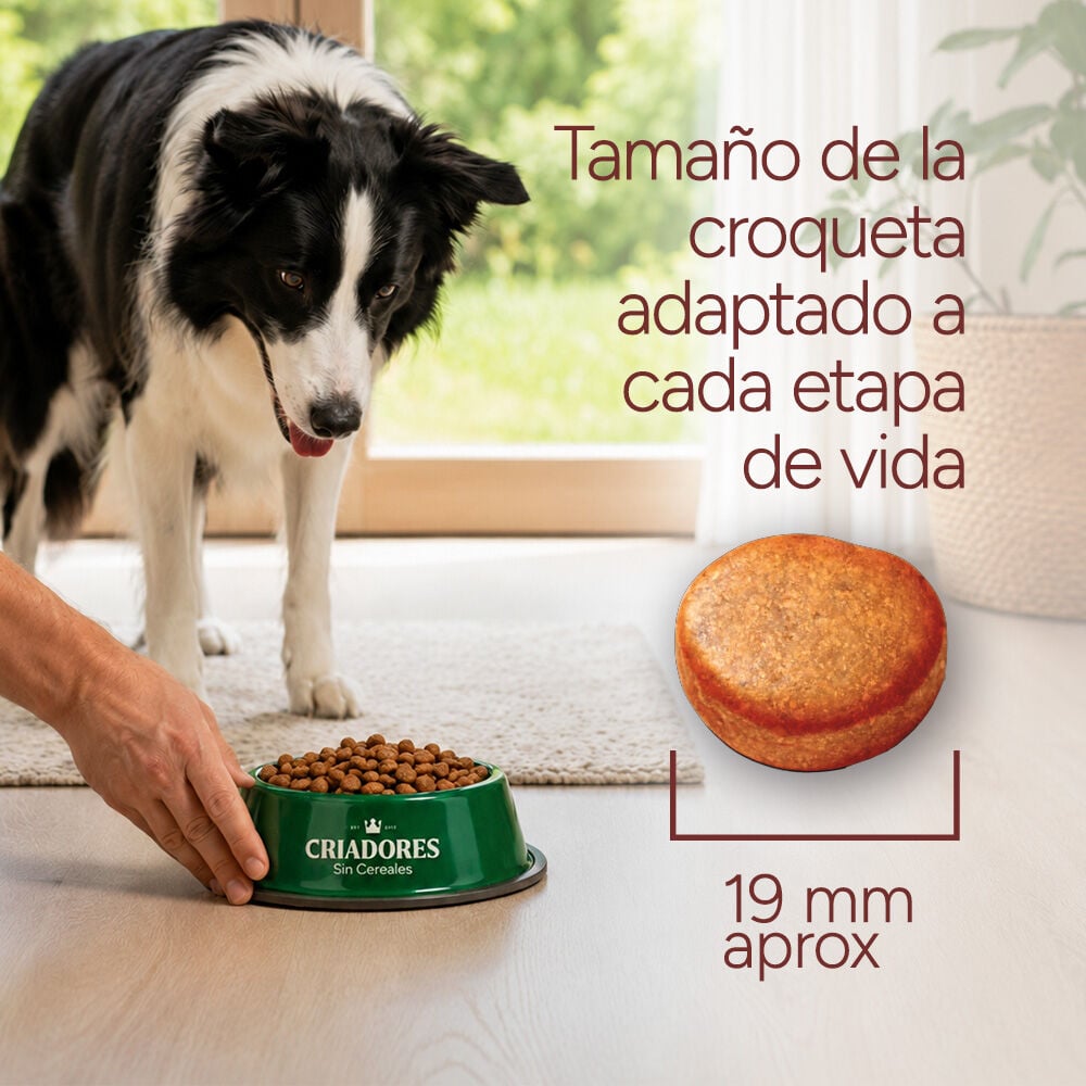 12 kg Criadores Adulto Grain Free Pavo pienso para perros de raza mediana y grande, , large indicador imagen numero 8