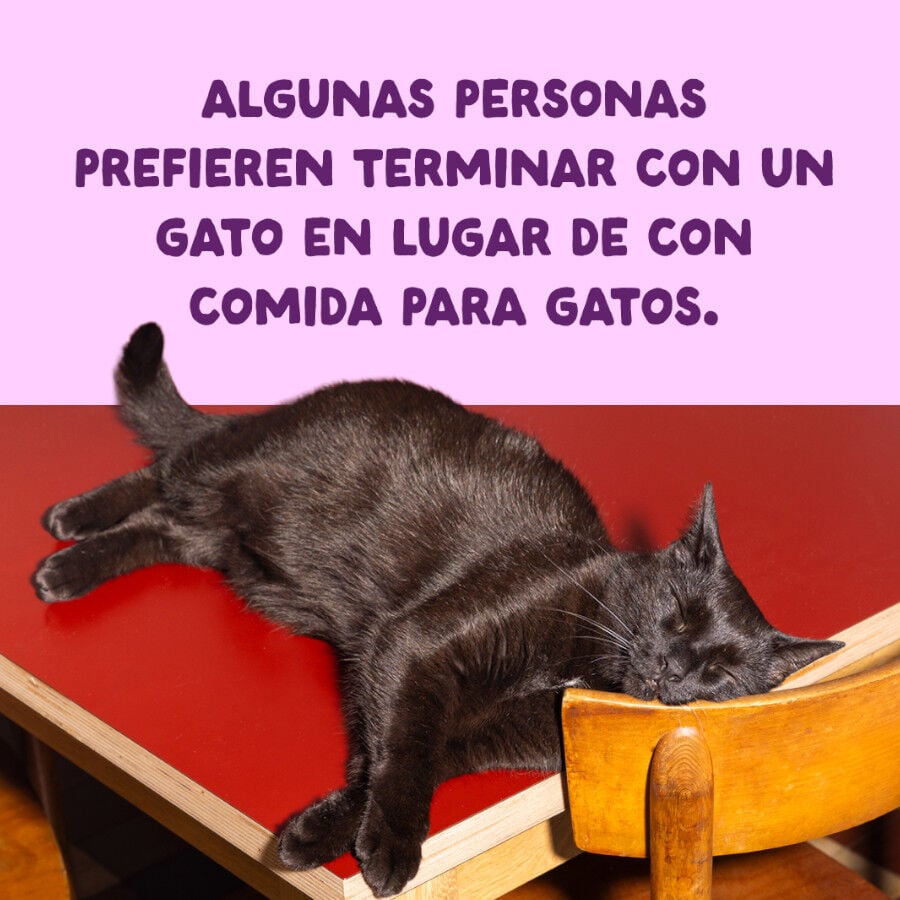 70 g Edgard & Cooper Filetes de Salm&oacute;n y Pollo Lata para gatos, , large Imagen numero 9