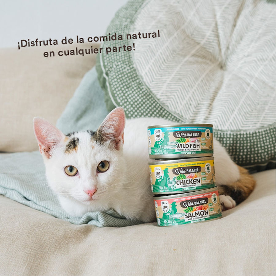 120 g Wild Balance BARF Pollo y Vegetales lata para gatos, , large Imagen numero 5