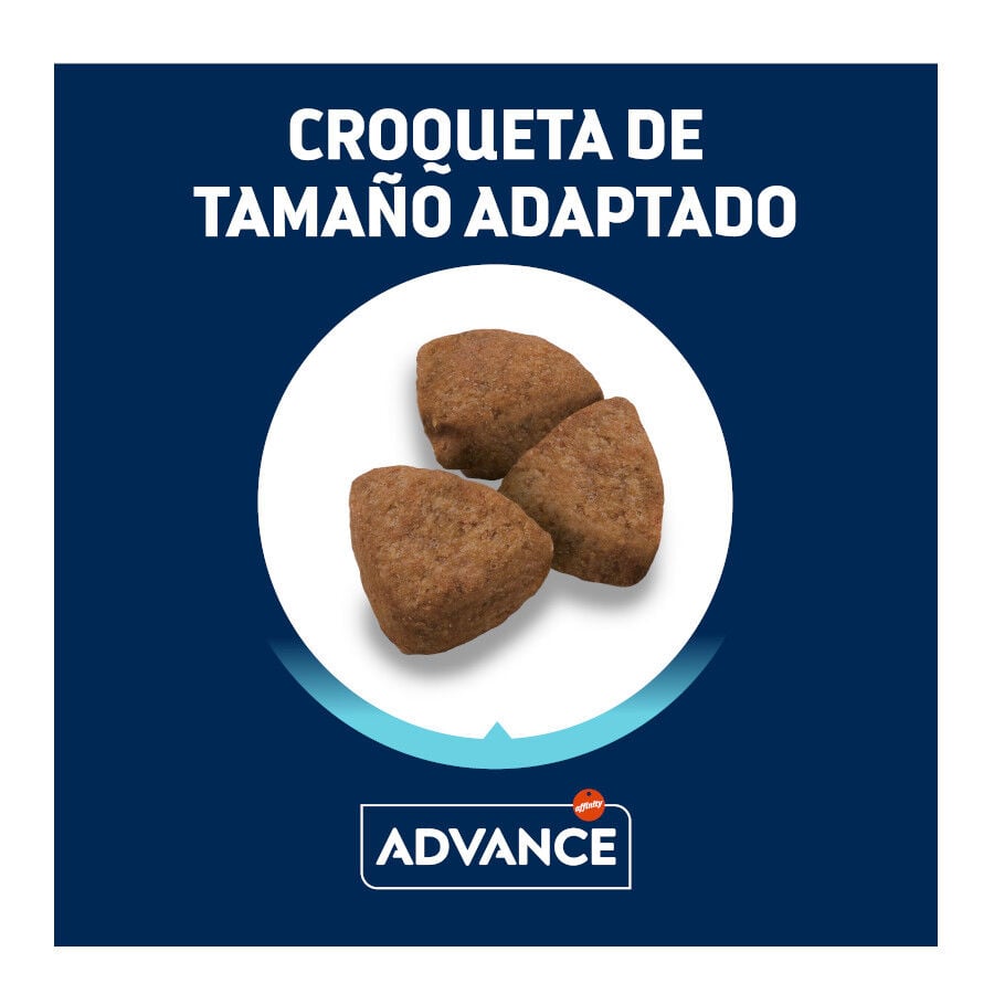 18 kg Advance Active Defense Maxi Adult pollo y arroz pienso para perros, , large indicador imagen numero 3