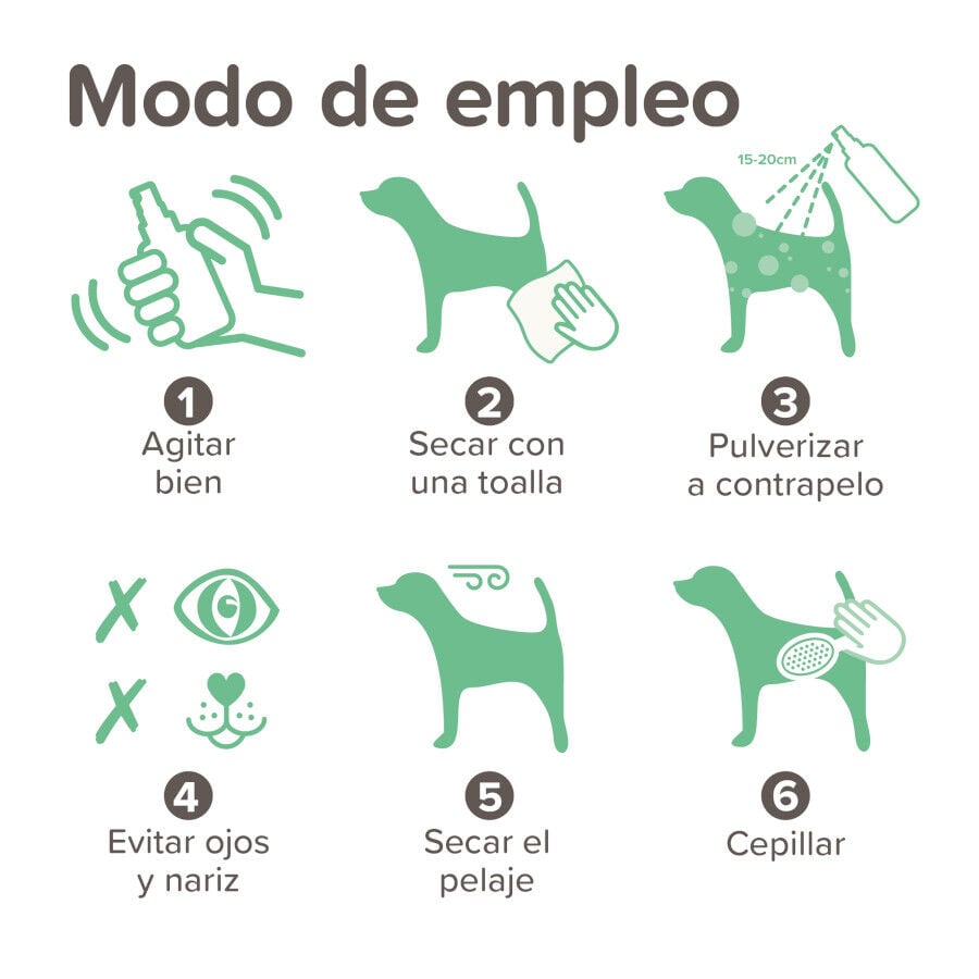 Beaphar Wet dog spray antiolor para perros, , large Imagen numero 6