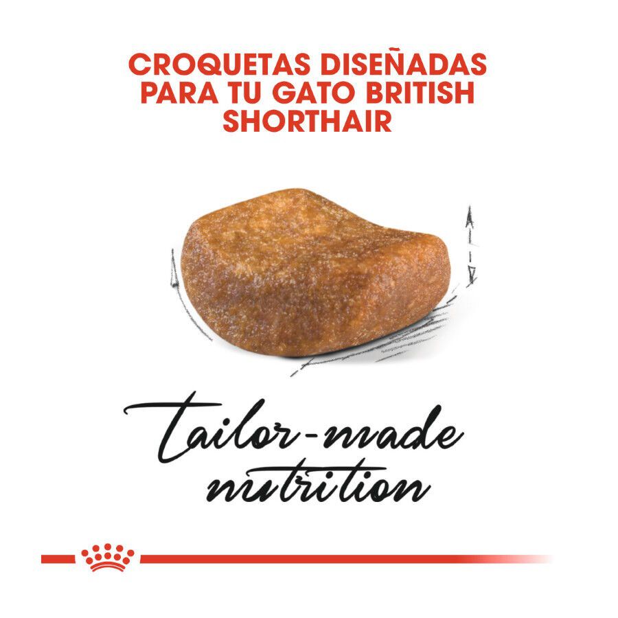 10 kg Royal Canin Adult British Shorthair pienso para gatos, , large indicador imagen numero 4
