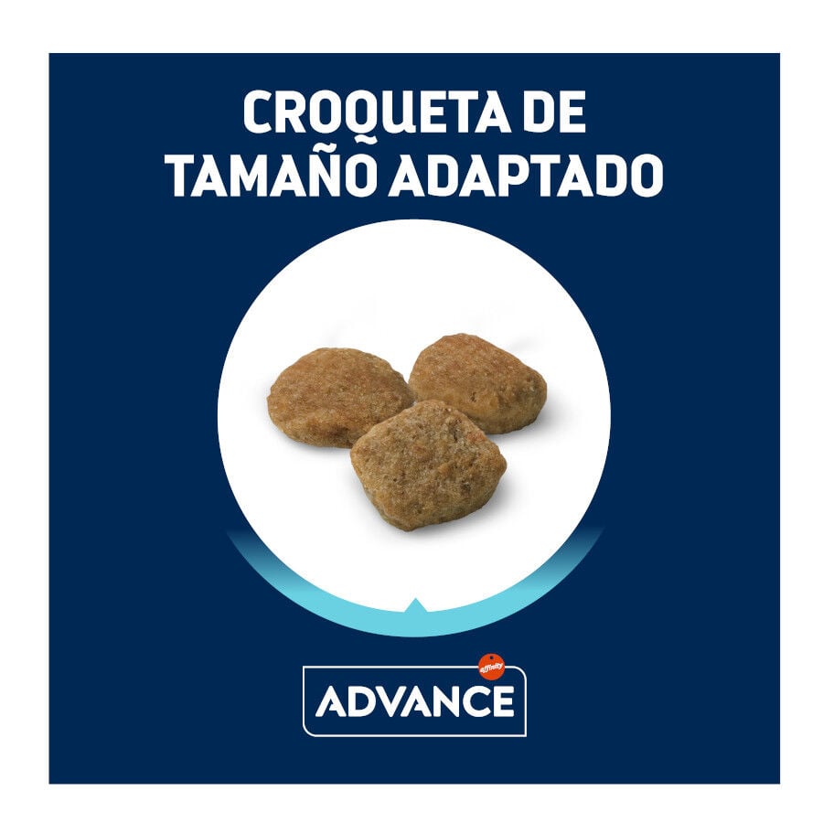 3 kg Advance Senior Mini +8 Pollo y Arroz pienso para perros, , large Imagen numero 3