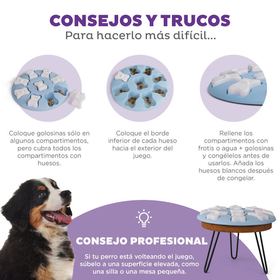 Outward Hound Puppy Smart Rompecabezas para perros, , large Imagen numero 4