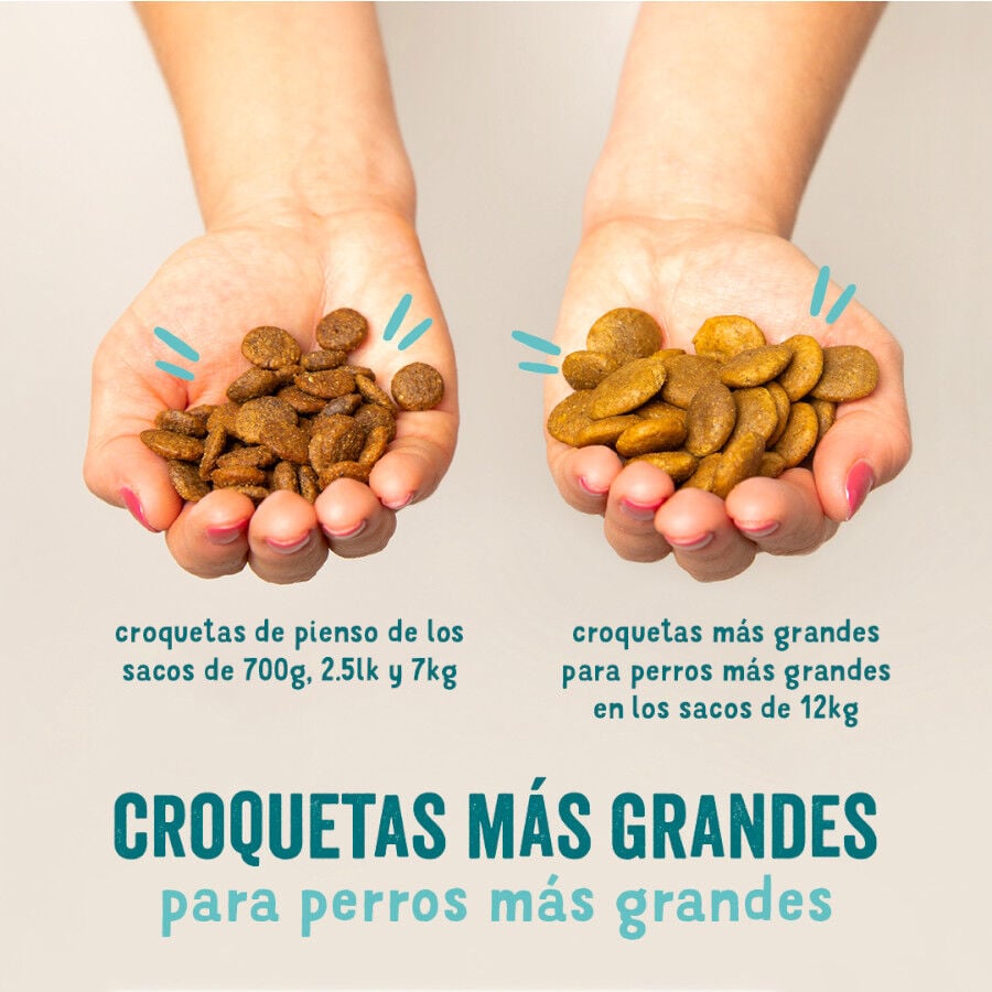 7 kg Edgard & Cooper Remolacha y Calabaza pienso para perros, , large indicador imagen numero 2