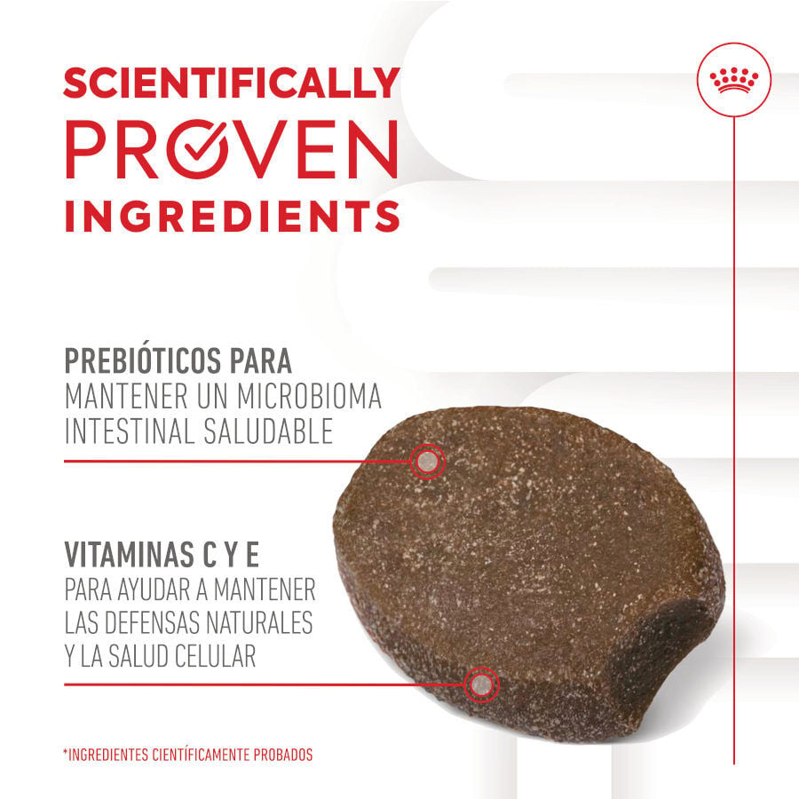 100 g Royal Canin Immunity & Digestion Chews Puppy Suplemento nutricional para perros, , large Imagen numero 6