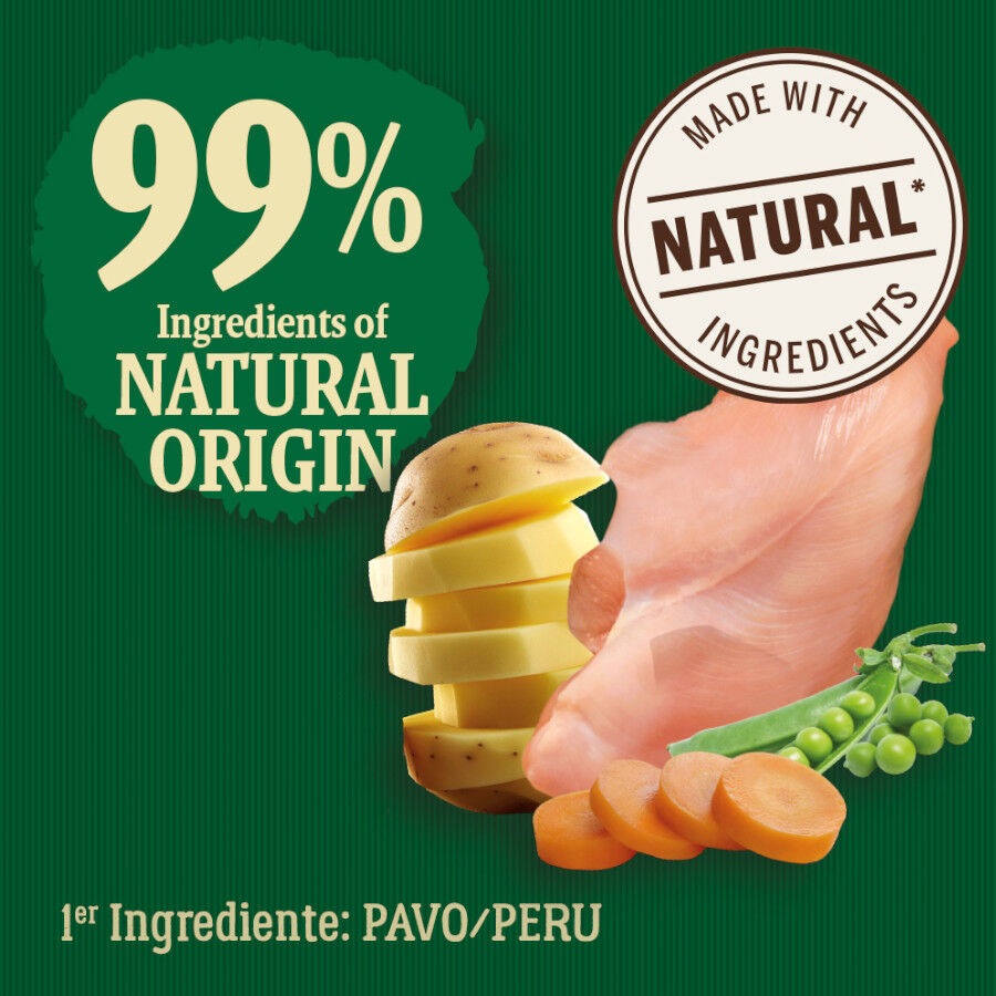 2 kg True Origins Wild Kitten Pollo y Pavo Pienso para gatos, , large indicador imagen numero 3