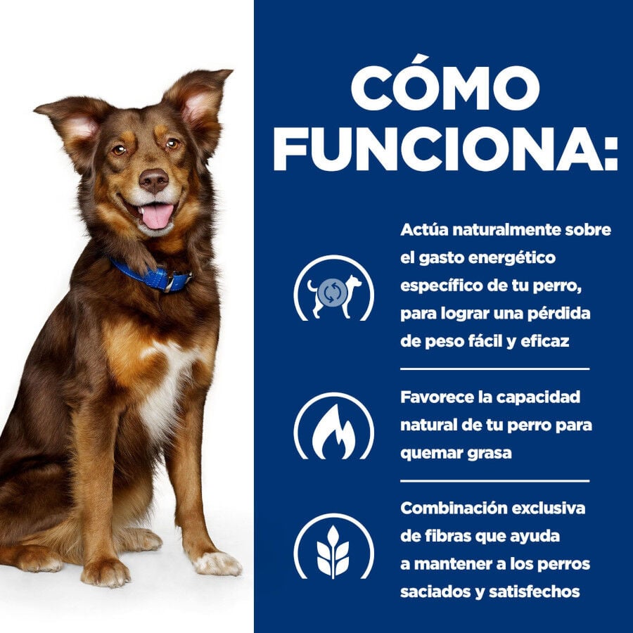 12 kg Hill's Prescription Diet Metabolic Pollo pienso para perros, , large indicador imagen numero 6