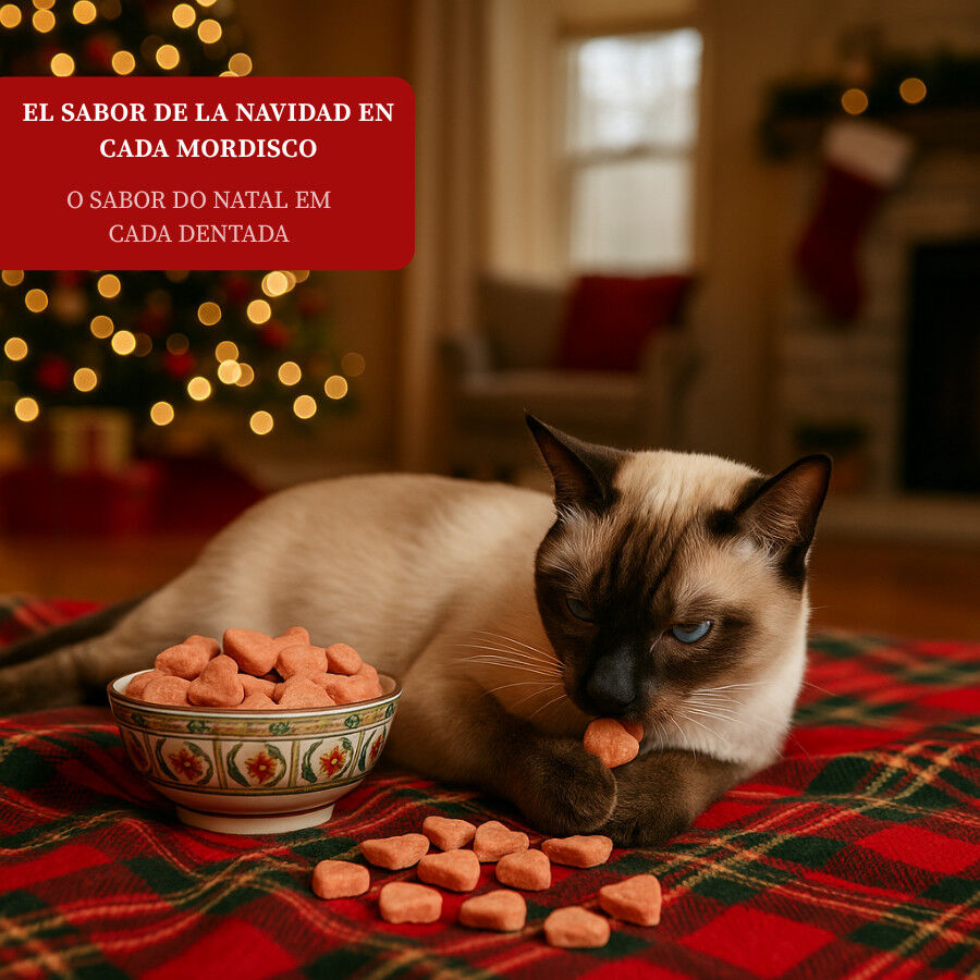 50 g Wonder Christmas Bocaditos Navide&ntilde;os para gatos, , large indicador imagen numero 4