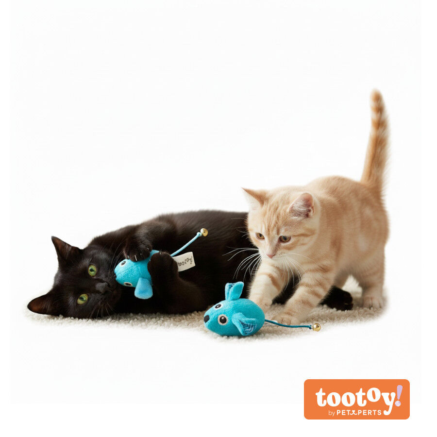 Tootoy! Pack de 2 Ratones con Catnip y Cascabel Azules para gatos
