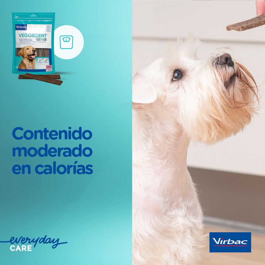 15 barritas Virbac Snacks Dentales VeggieDent Fresh para perros Toy, , large indicador imagen numero 8