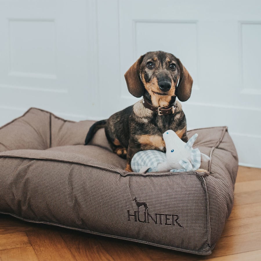 Hunter Lancaster Cama Marr&oacute;n para perros, , large indicador imagen numero 2