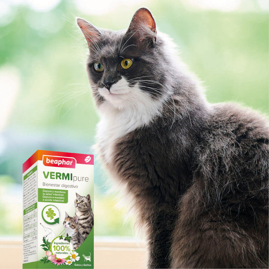 Beaphar Vermipure Repelente Interno Natural en comprimidos para gatos y gatitos, , large Imagen numero 7