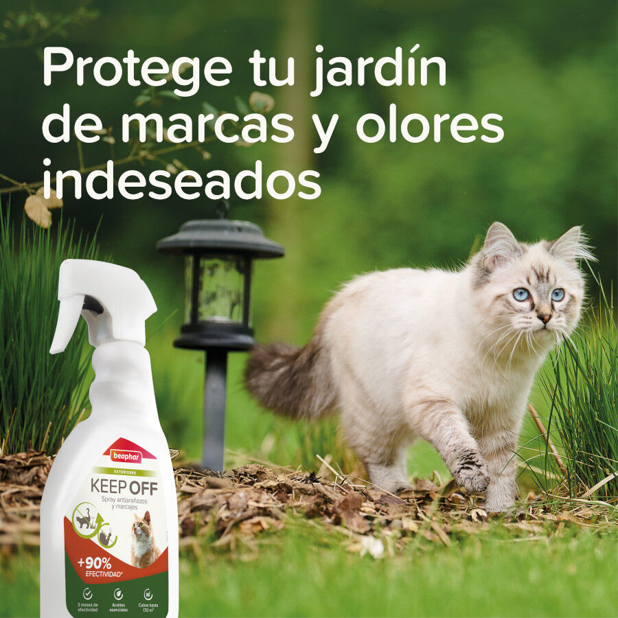 Beaphar Spray Educador Exteriores para Gatos, , large indicador imagen numero 5