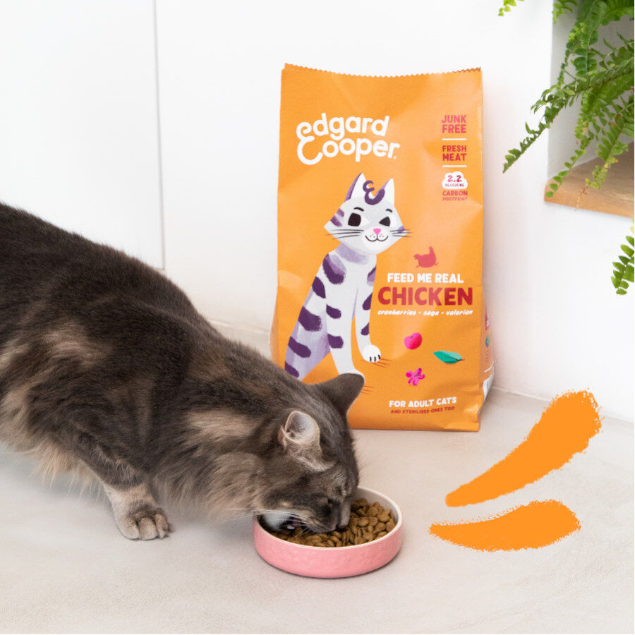 4 kg Edgard & Cooper Adult Pollo pienso para gatos, , large indicador imagen numero 2