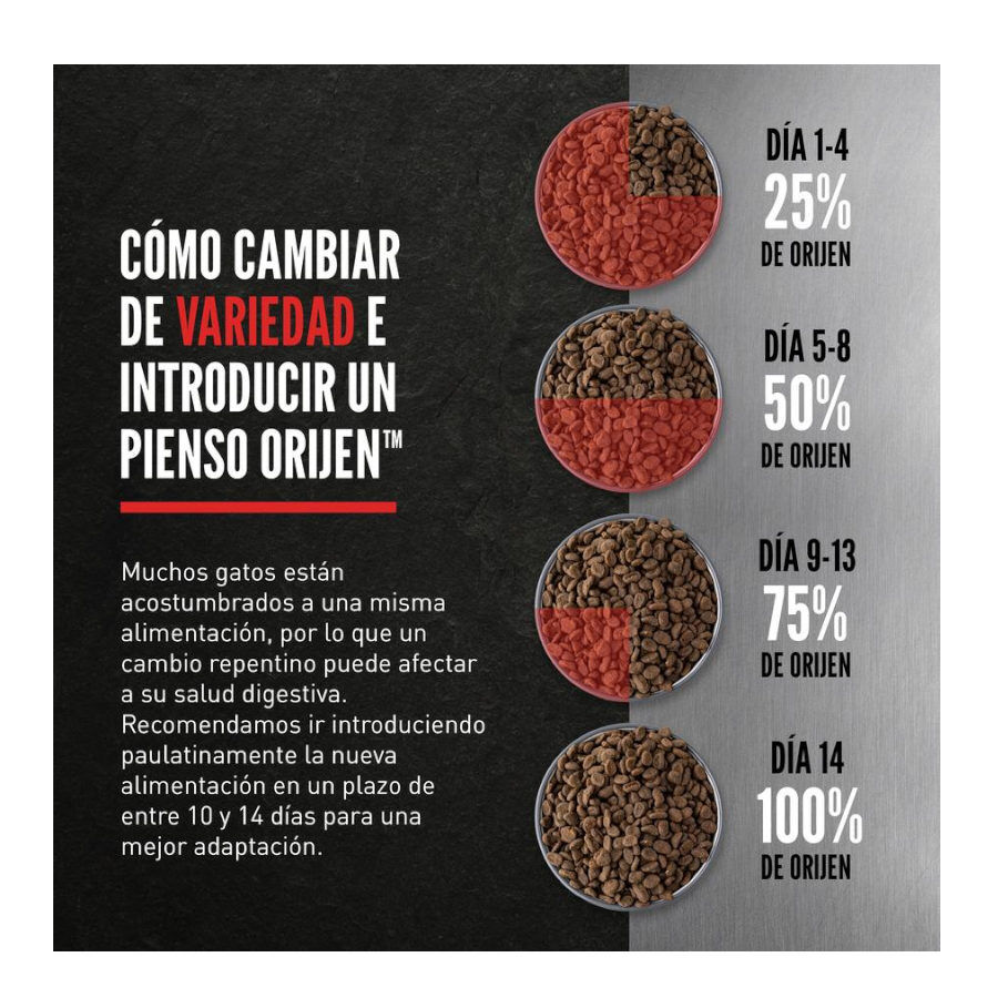 5.4 kg Orijen Original pienso para gatos y gatitos, , large indicador imagen numero 8