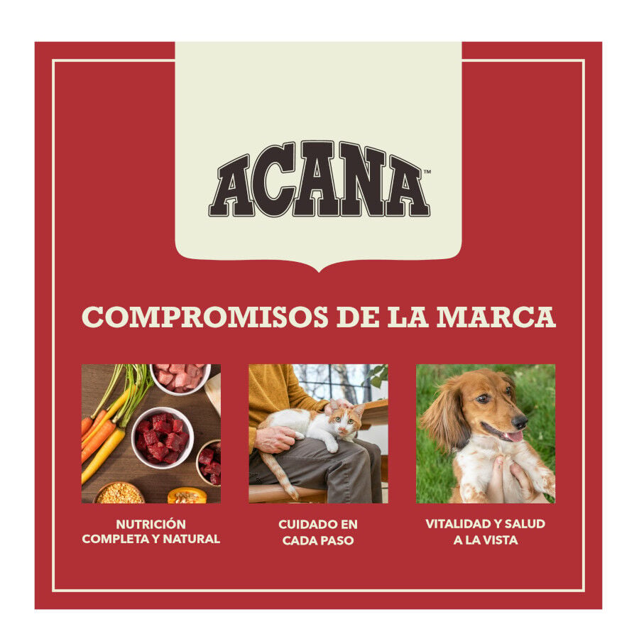 11.4 kg Acana Red Meat pienso para perros, , large Imagen numero 11