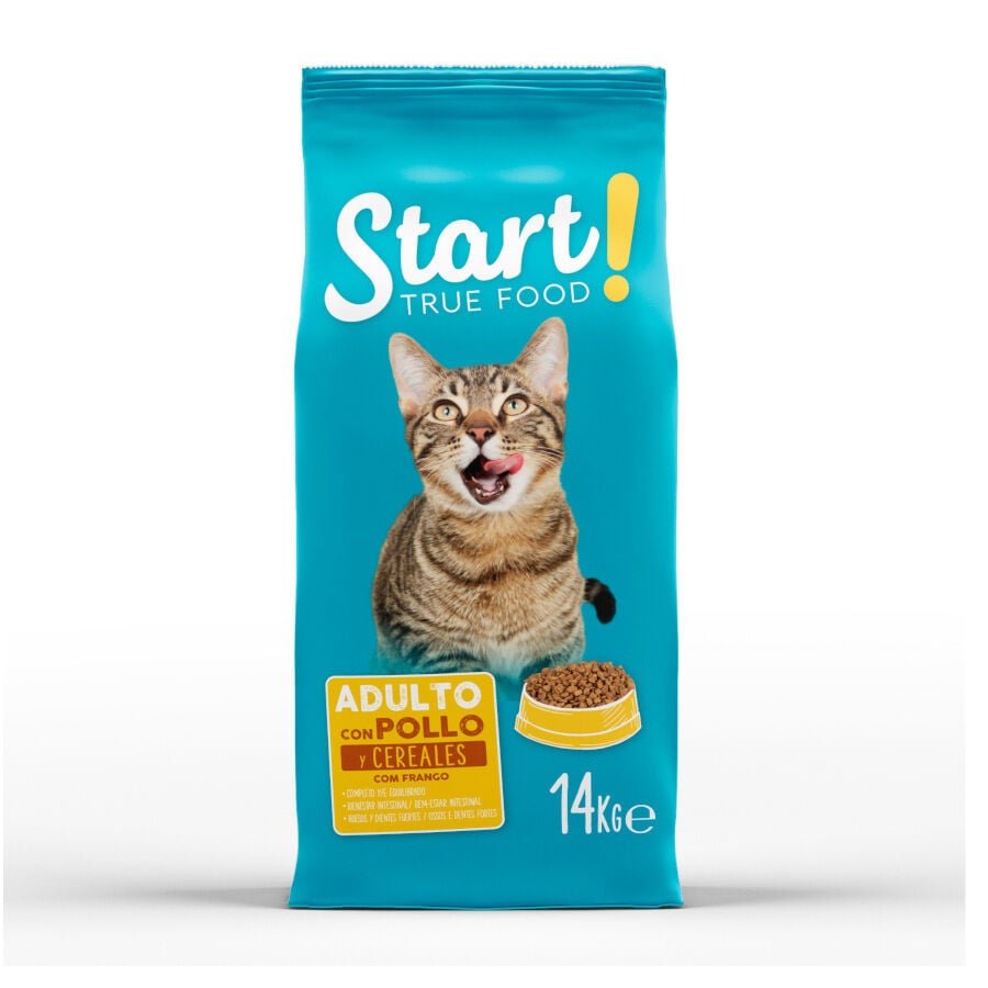 14 kg Start! Adult Pollo y Cereales pienso para gatos, , large Imagen numero 1