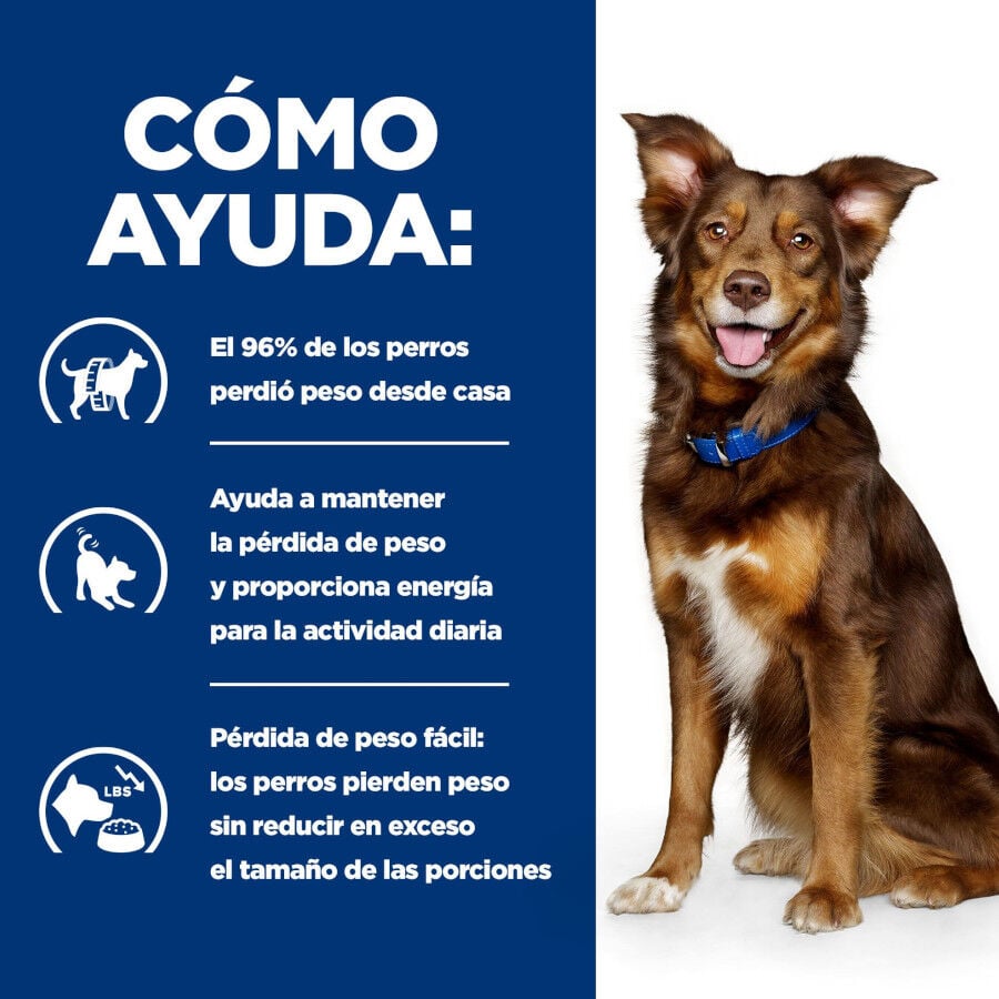 370 g Hill's Prescription Diet Metabolic Vacuno y Verduras lata para perros, , large Imagen numero 4