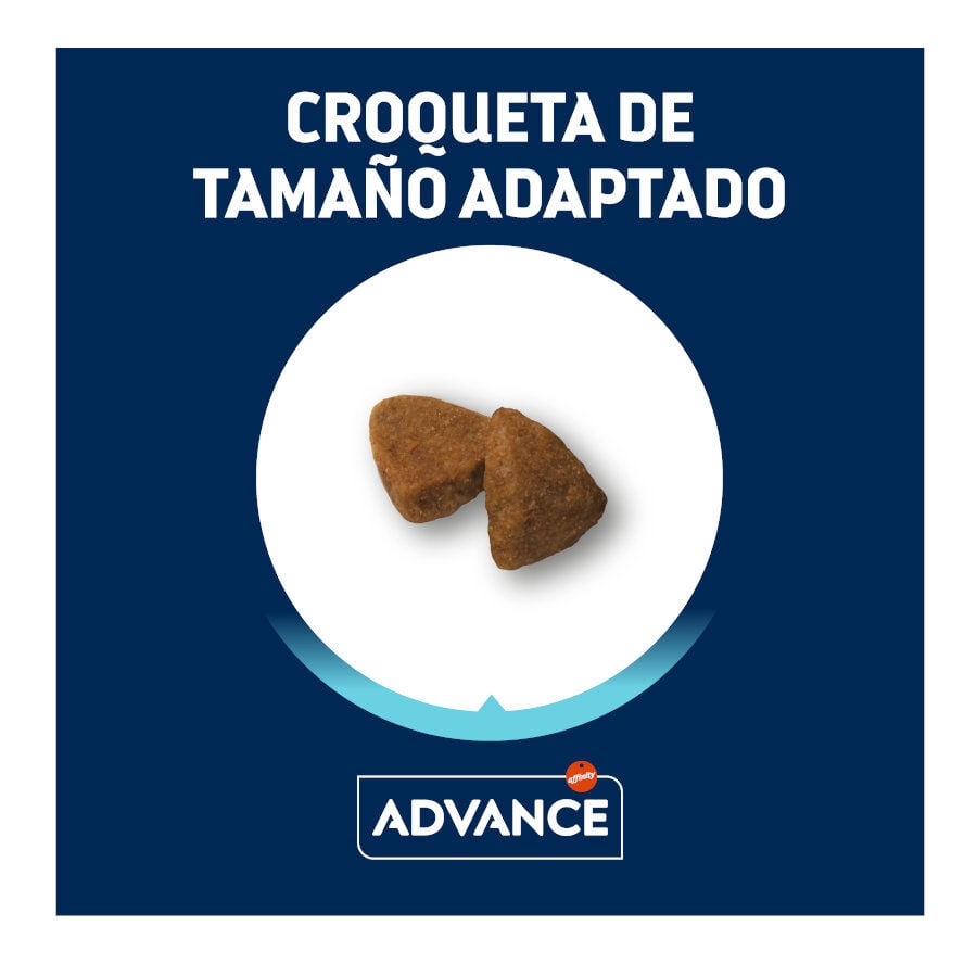 8 kg (7 + 1 kg &iexcl;gratis!) Advance Active Defense Mini Adult Pollo y Arroz pienso para perros, , large indicador imagen numero 2