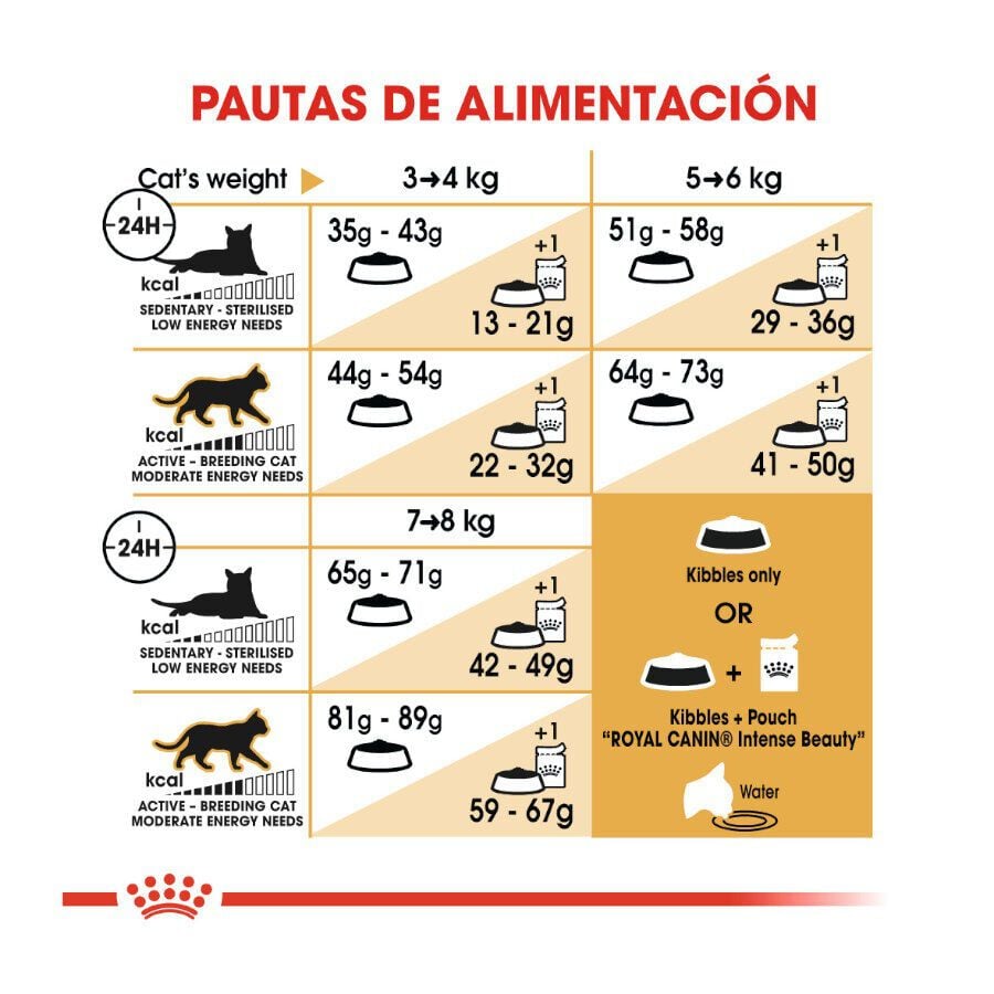 10 kg Royal Canin Adult Norwegian Forest pienso para gatos, , large Imagen numero 8